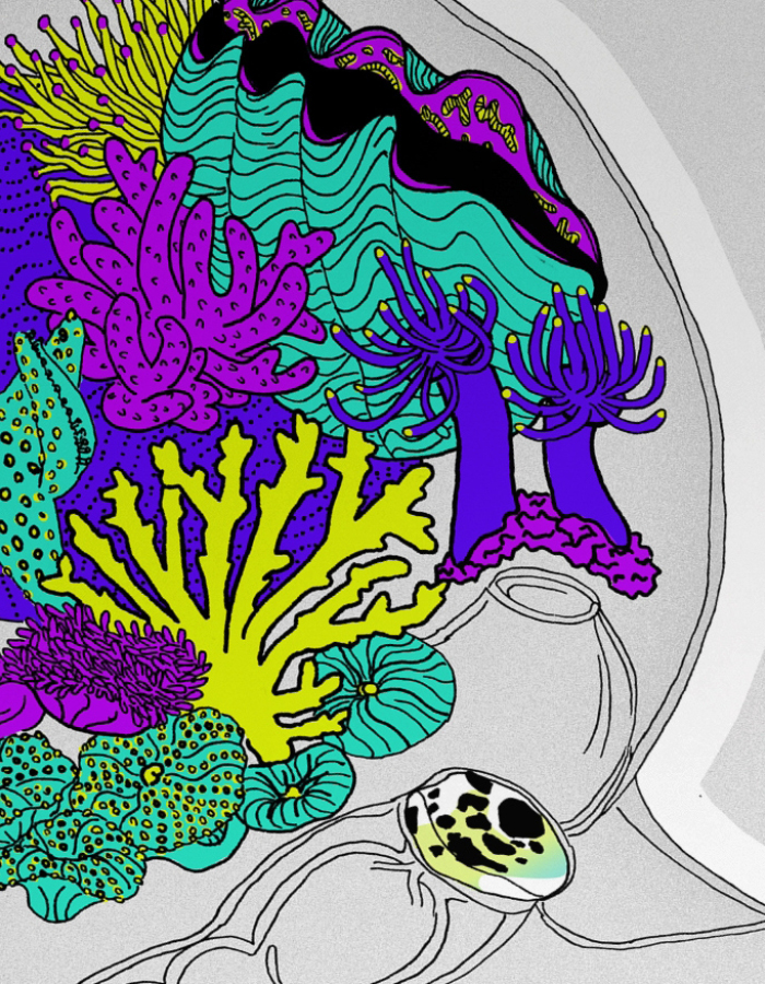 flora-and-fauna-poster-color-octopus-zoom-illustration-graphic-design-chaux-de-fonds-atelier-tertre-barbara-cazzato-kipfer