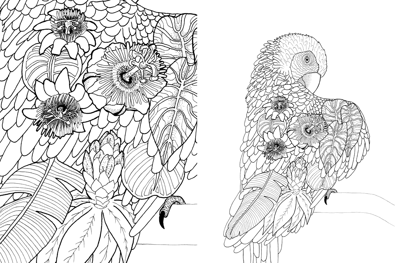 flora-and-fauna-poster-color-zoom-parrot-illustration-graphic-design-chaux-de-fonds-atelier-tertre-barbara-cazzato