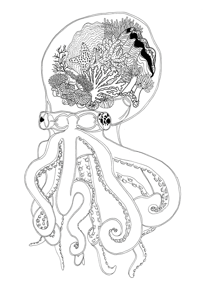 flora-and-fauna-poster-octopus-illustration-graphic-design-chaux-de-fonds-atelier-tertre-barbara-cazzato-animation