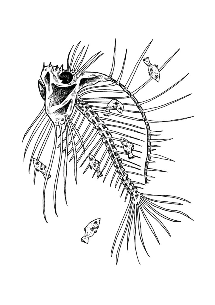 illustration-poisson-squelette-carte-poster-print-art-dessin-illustratrice-la-chaux-de-fonds-atelier-tertre-barbara-kipfer-cazzato